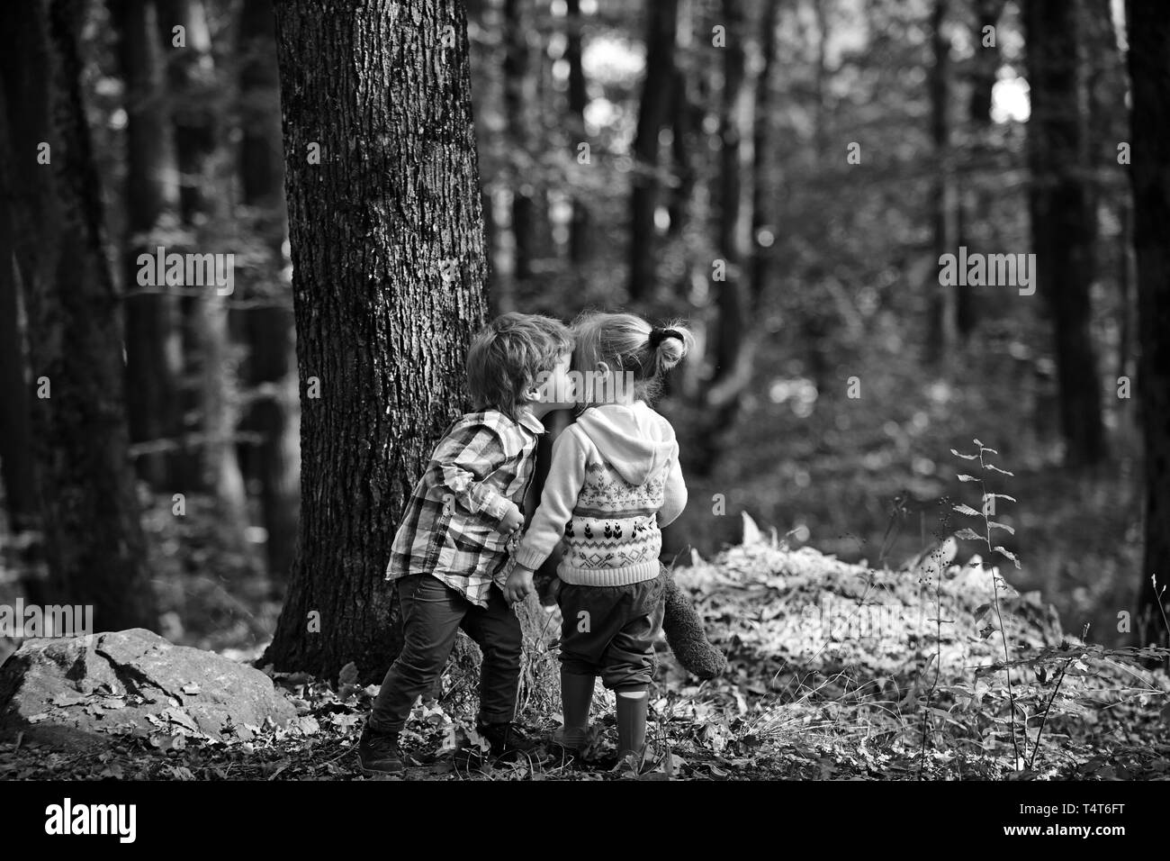 Kleine Mädchen und Jungen im Herbst Wald küssen. Stockfoto