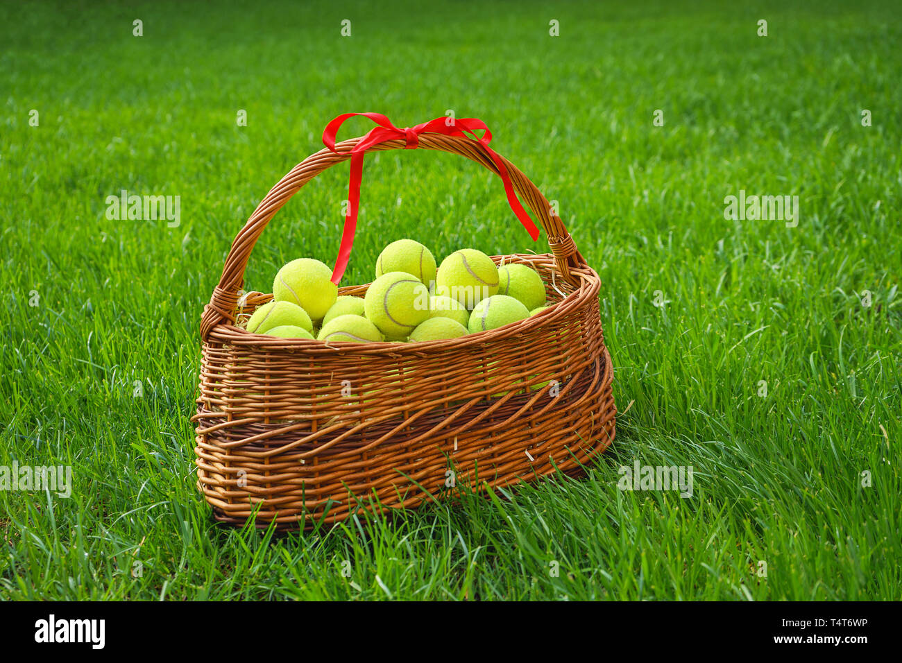 Tennis Bälle in einen Korb auf grünem Gras. Stockfoto