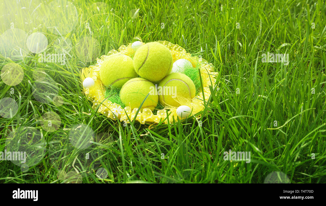 Tennis Bälle in einen Korb auf grünem Gras und verschwommenes bokeh Sonnenlicht Hintergrund. Stockfoto