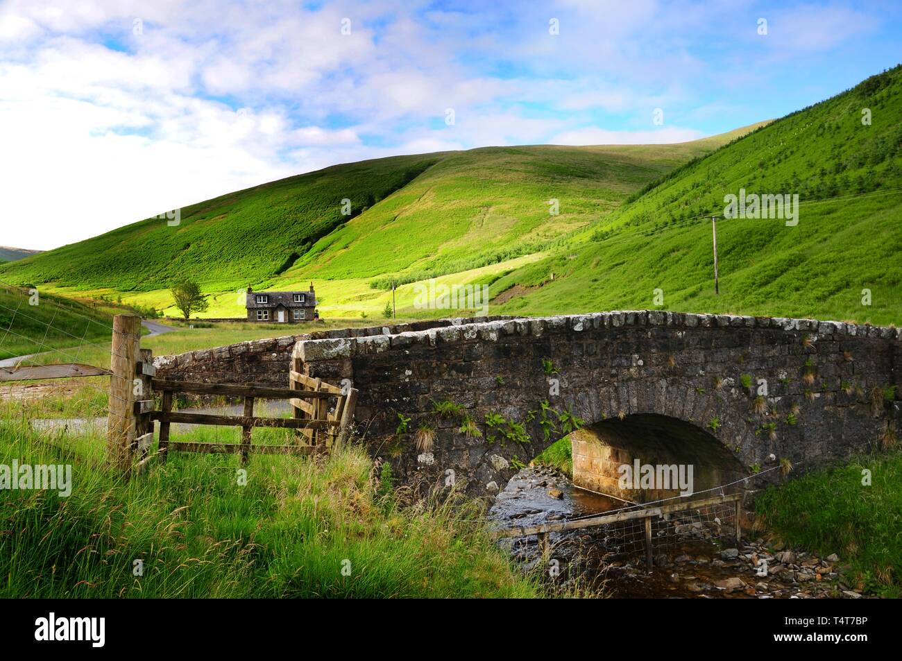 Brücke, Bill Hoffnung brennen, Scottish Borders, Schottland, Großbritannien, Europa Stockfoto