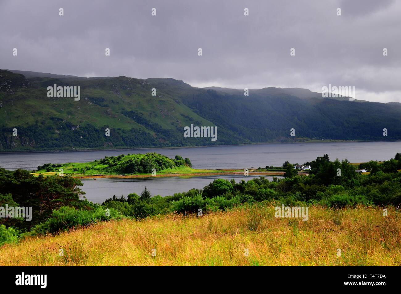 Insel im Loch Carron, in der Nähe von Lochcarron, Western Ross, Ross-shire, Schottland, Großbritannien, Großbritannien, Europa Stockfoto