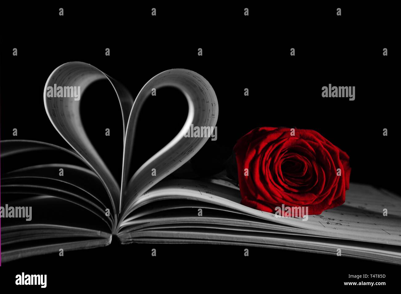 Stillleben mit Herzförmigen Seiten eines Buches und einer Rose Stockfoto