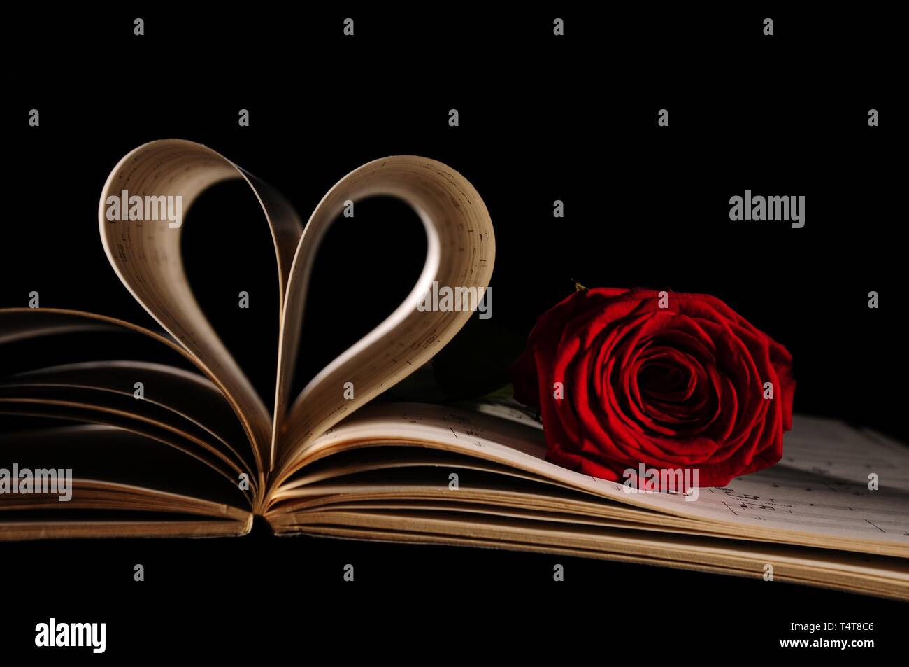 Musik buch Seiten herzförmige, red rose (rosa) Stockfoto