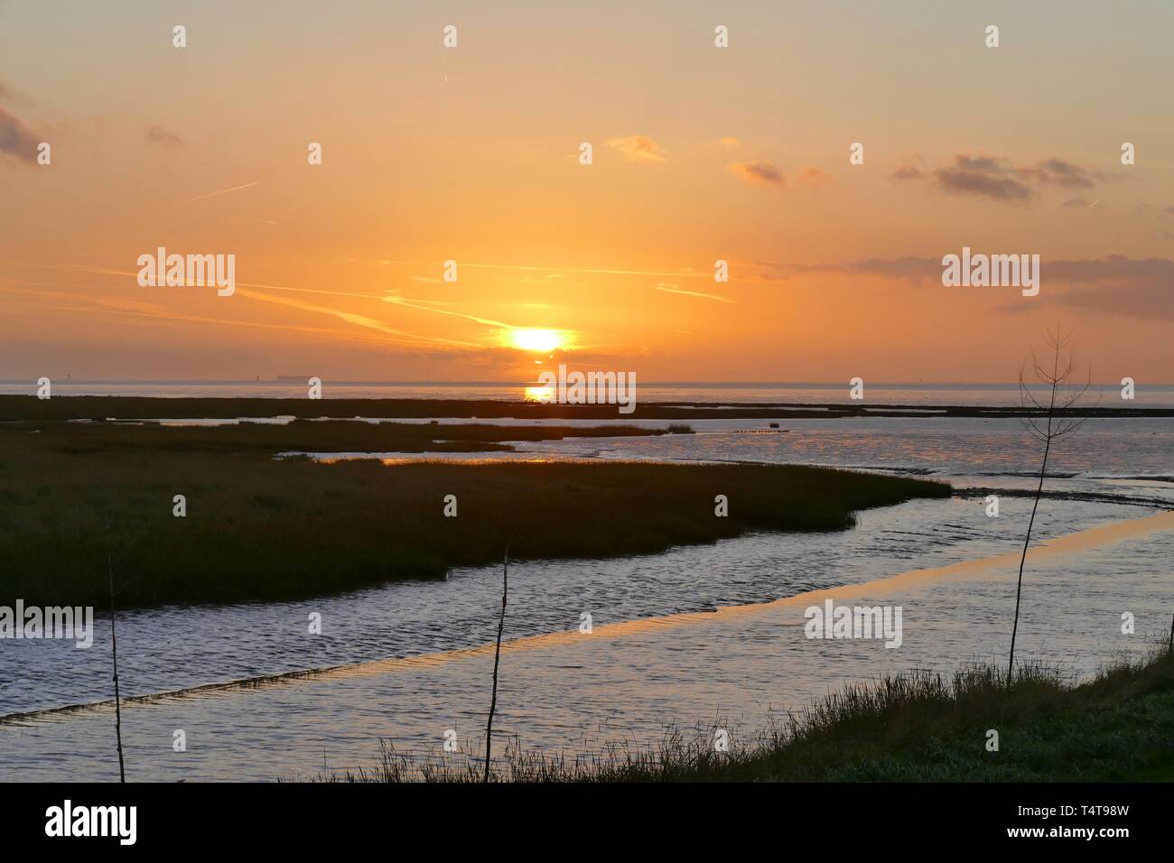 Hafeneinfahrt in Spieka Neufeld, mit Blick auf das Wattenmeer, Cuxhaven, Deutschland, Europa Stockfoto