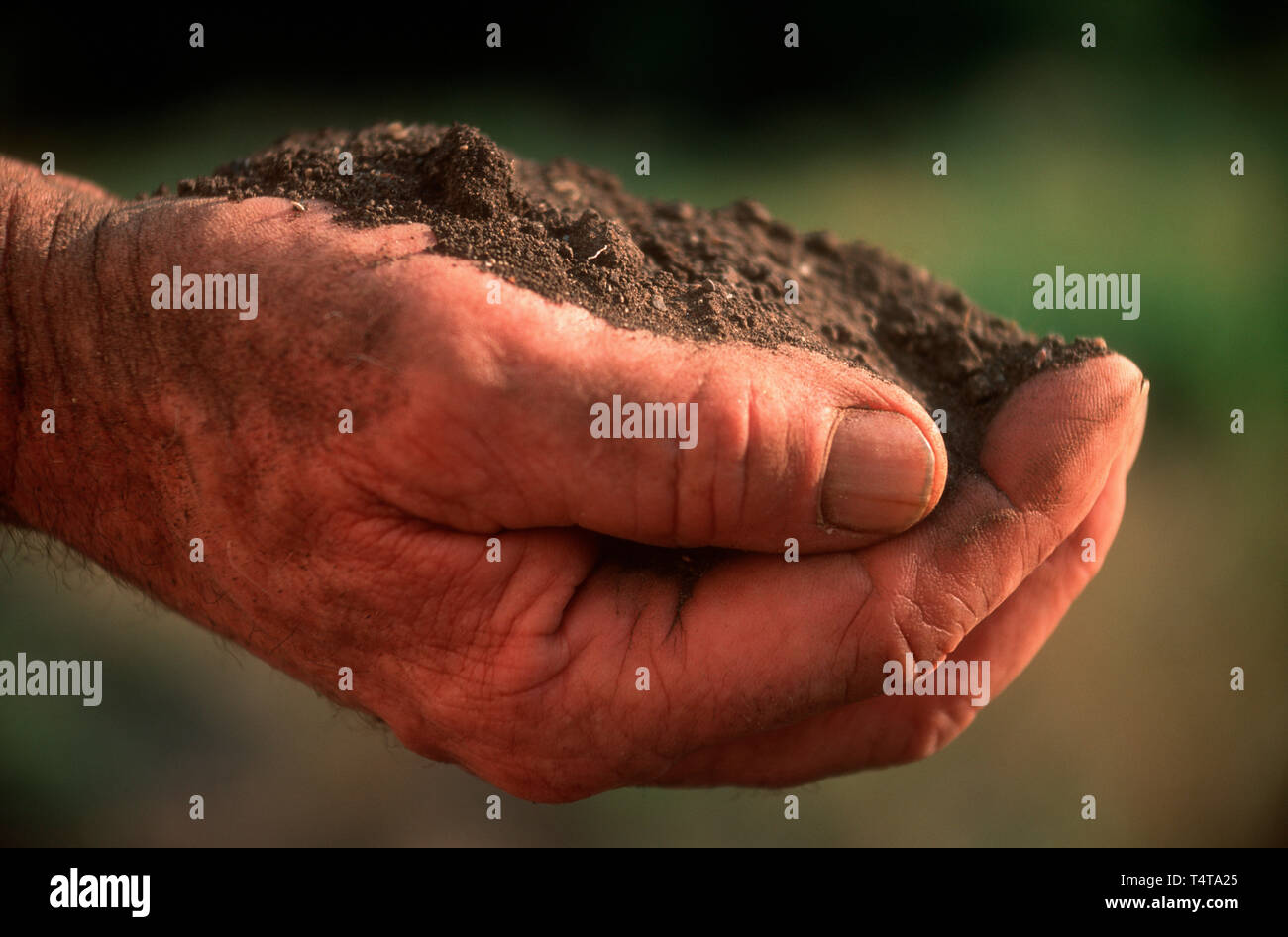 Schmutz in die Hand eines Mannes Stockfoto