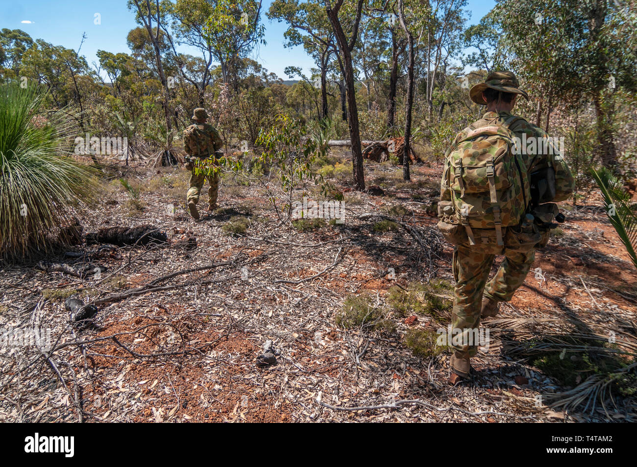 Australische Armee finden Soldaten auf eine Übung in den australischen Busch. Sie tragen typische 'Aussie' slouch Hüte. Stockfoto