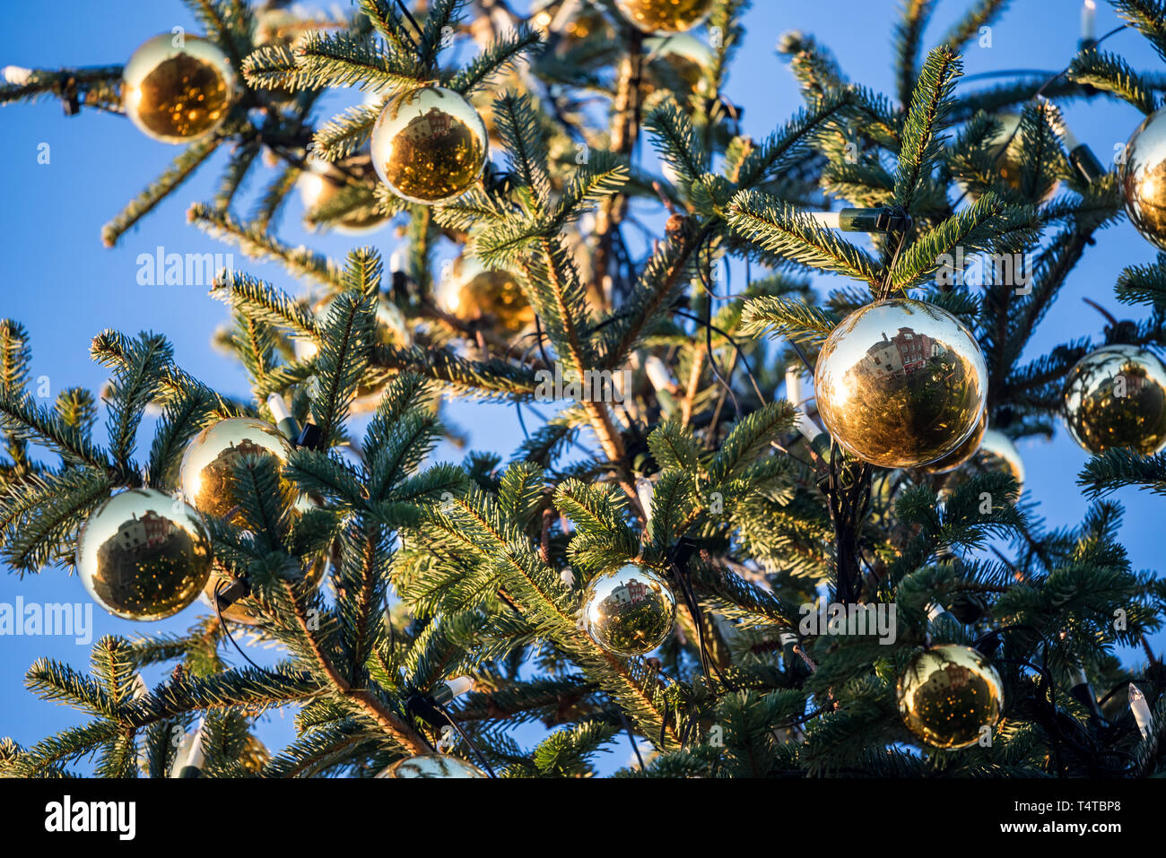 Windsor, Royal Borough of Windsor und Maidenhead Stockfoto