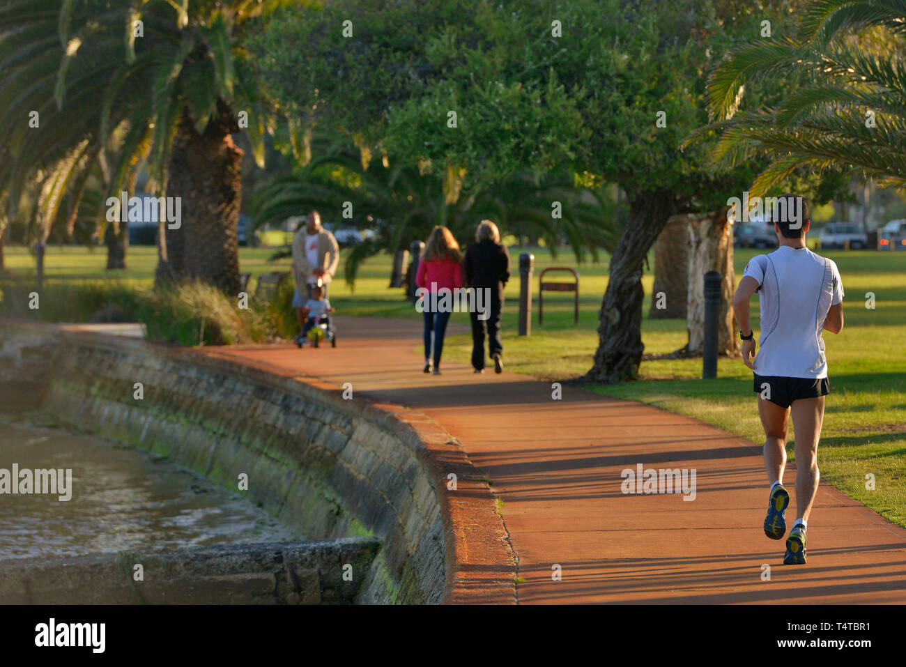 Am späten Nachmittag, Ansicht der Rückseite ein Jogger läuft auf einem Riverside Track, mit Palmen und Personen, die sich in der Nähe zu Fuß. Western Australia. Stockfoto