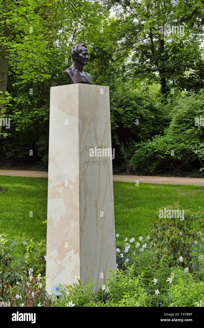 Büste von Alexander von Humboldt (1769 - 1859), Brandenburg an der Havel, Brandenburg, Deutschland, Europa Stockfoto