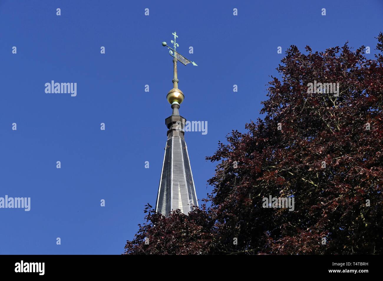 Kirchturm mit weathervane, Geltow, Schwielowsee, Potsdam-Mittelmark, Brandenburg, Deutschland, Europa Stockfoto