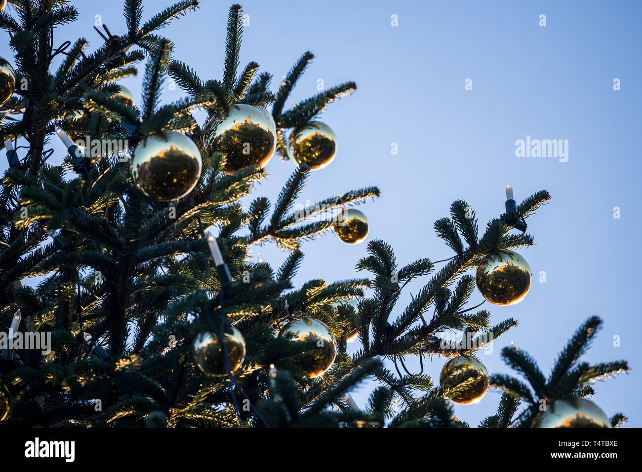 Windsor, Royal Borough of Windsor und Maidenhead Stockfoto