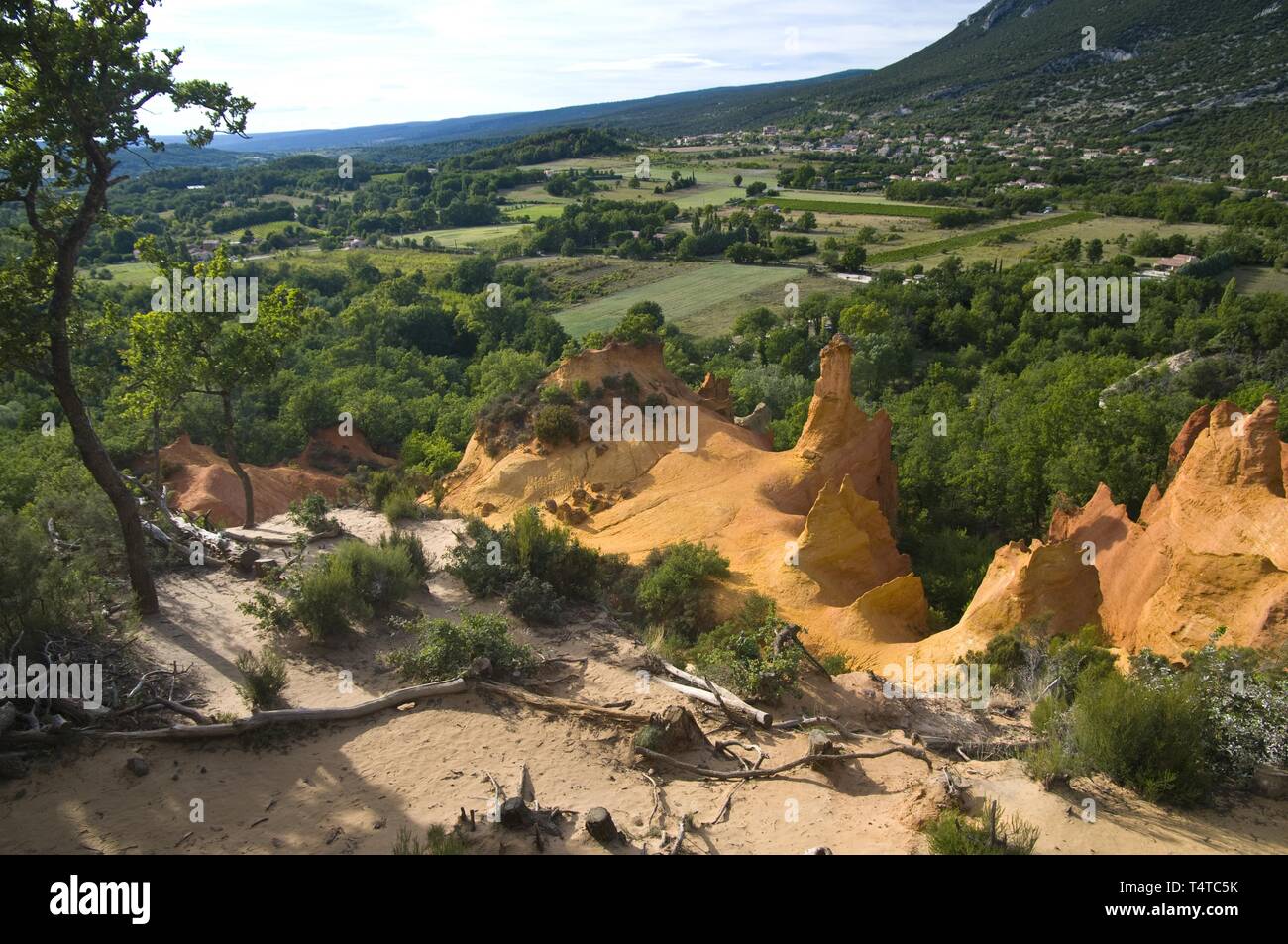 Ockerfarbenen Klippen, Colorado Provencal, Rustrel, Luberon, Frankreich, Europa Stockfoto