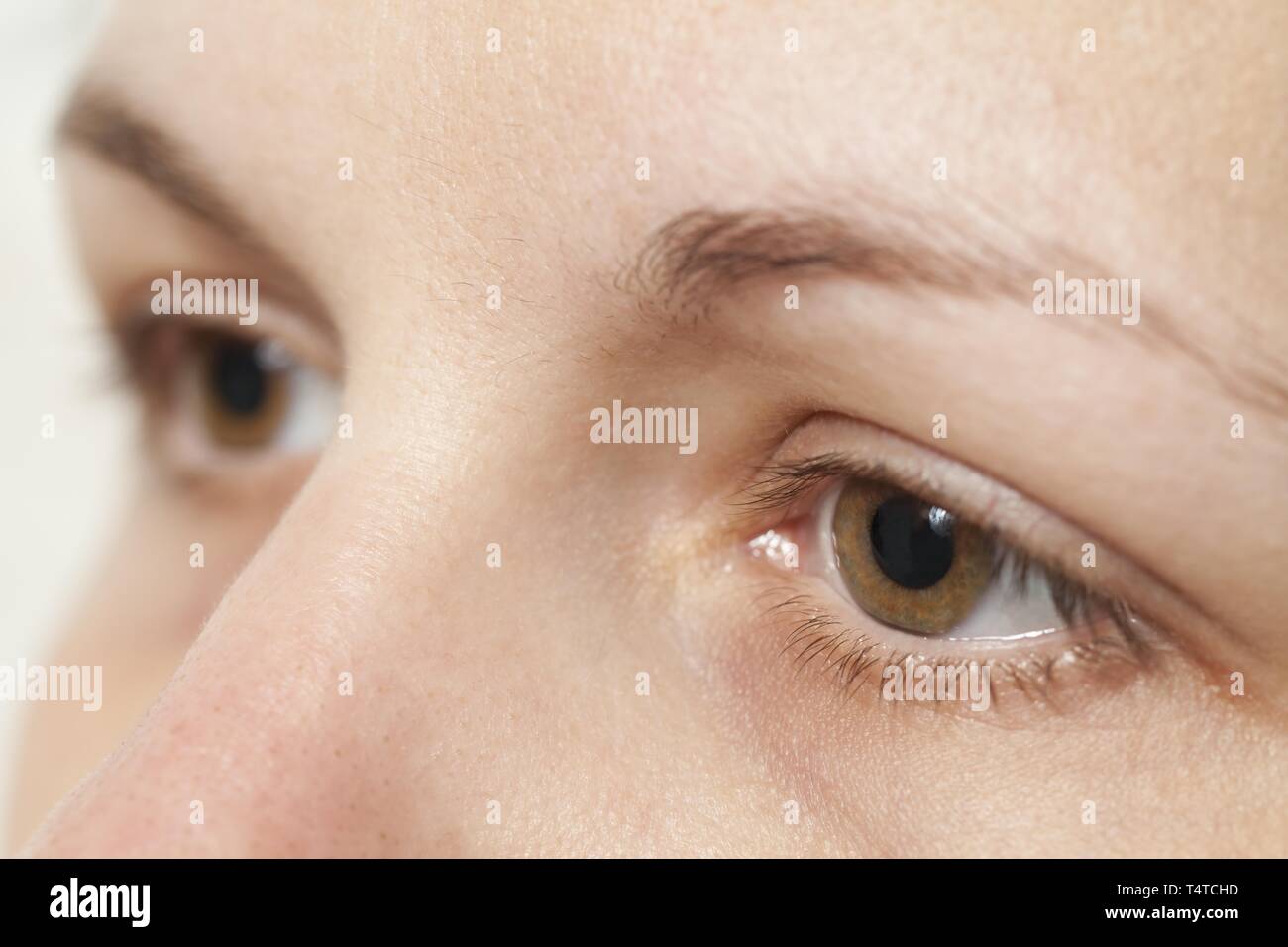 Augen einer Frau Stockfoto