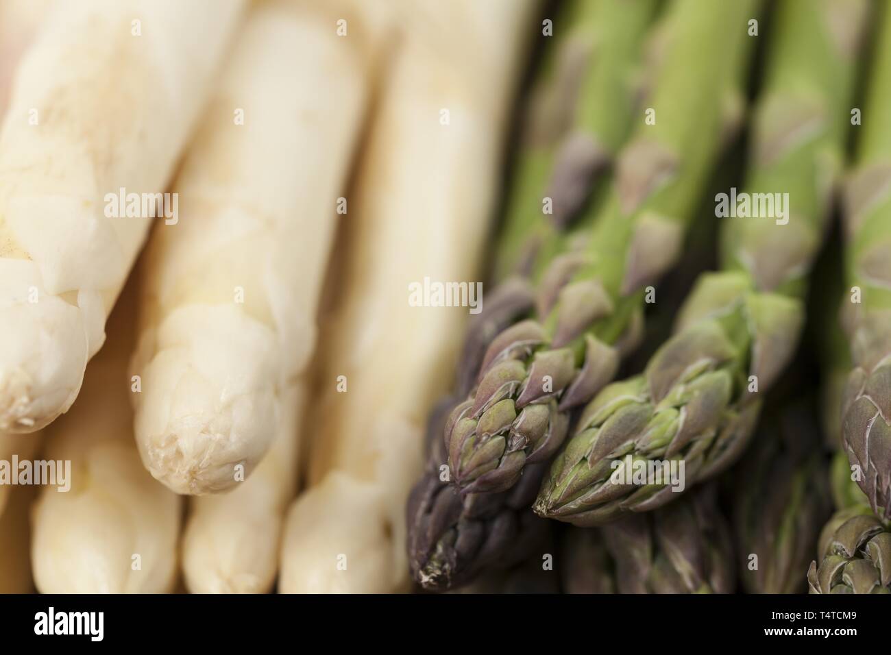 Frischer grüner und weißer Spargel, close-up Stockfoto