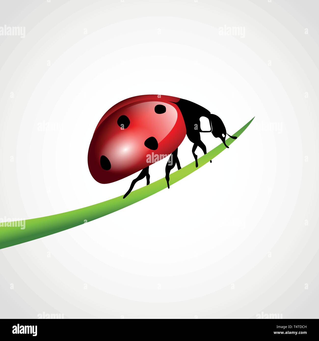 Rote Marienkäfer auf einem Grashalm auf weißem Vektor-illustration EPS 10 isoliert Stock Vektor