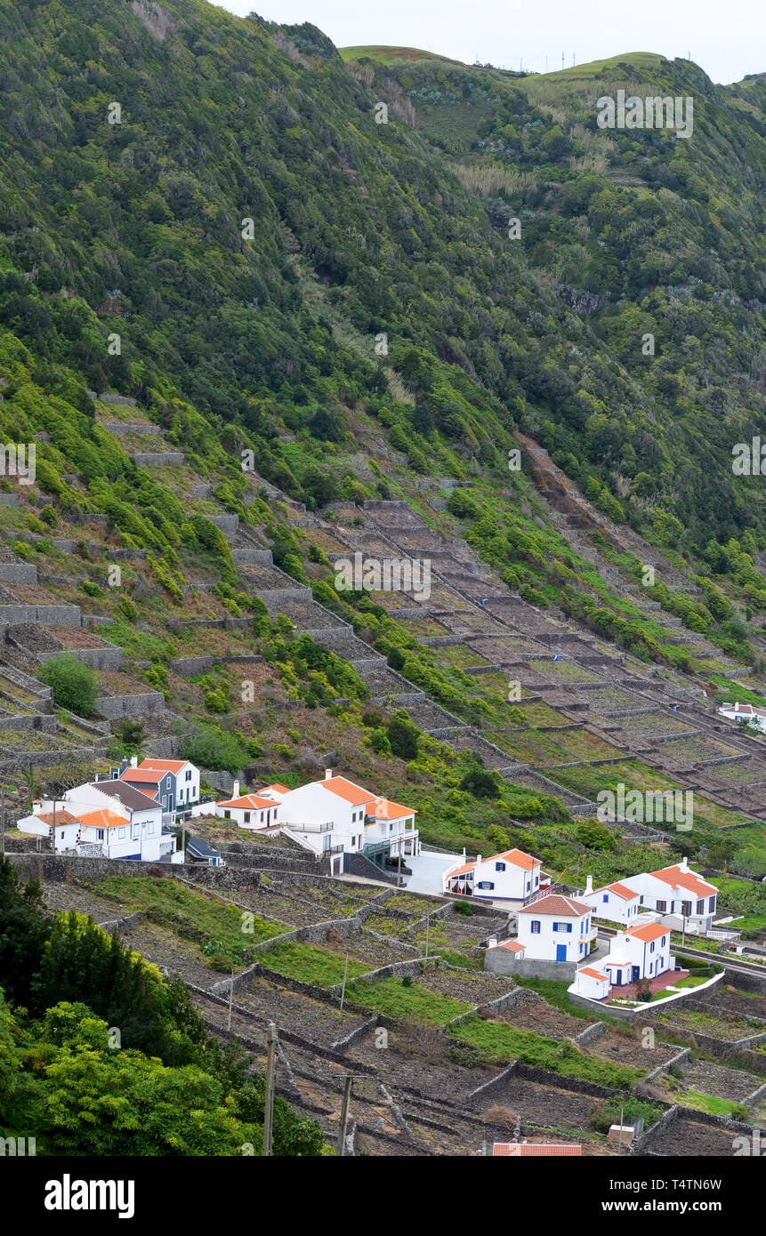 Die traditionellen Weinberge an den Hängen des Sao Lourenco's Bay, im Osten die Küste von Santa Maria, Azoren Stockfoto