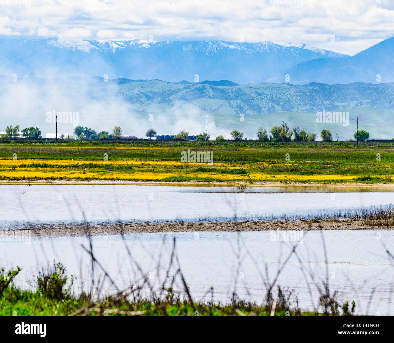 Die Bauern brennen Unkraut in ihren Bereichen vom Sacramento National Wildlife Refuge in Colusa County California USA sichtbar Stockfoto