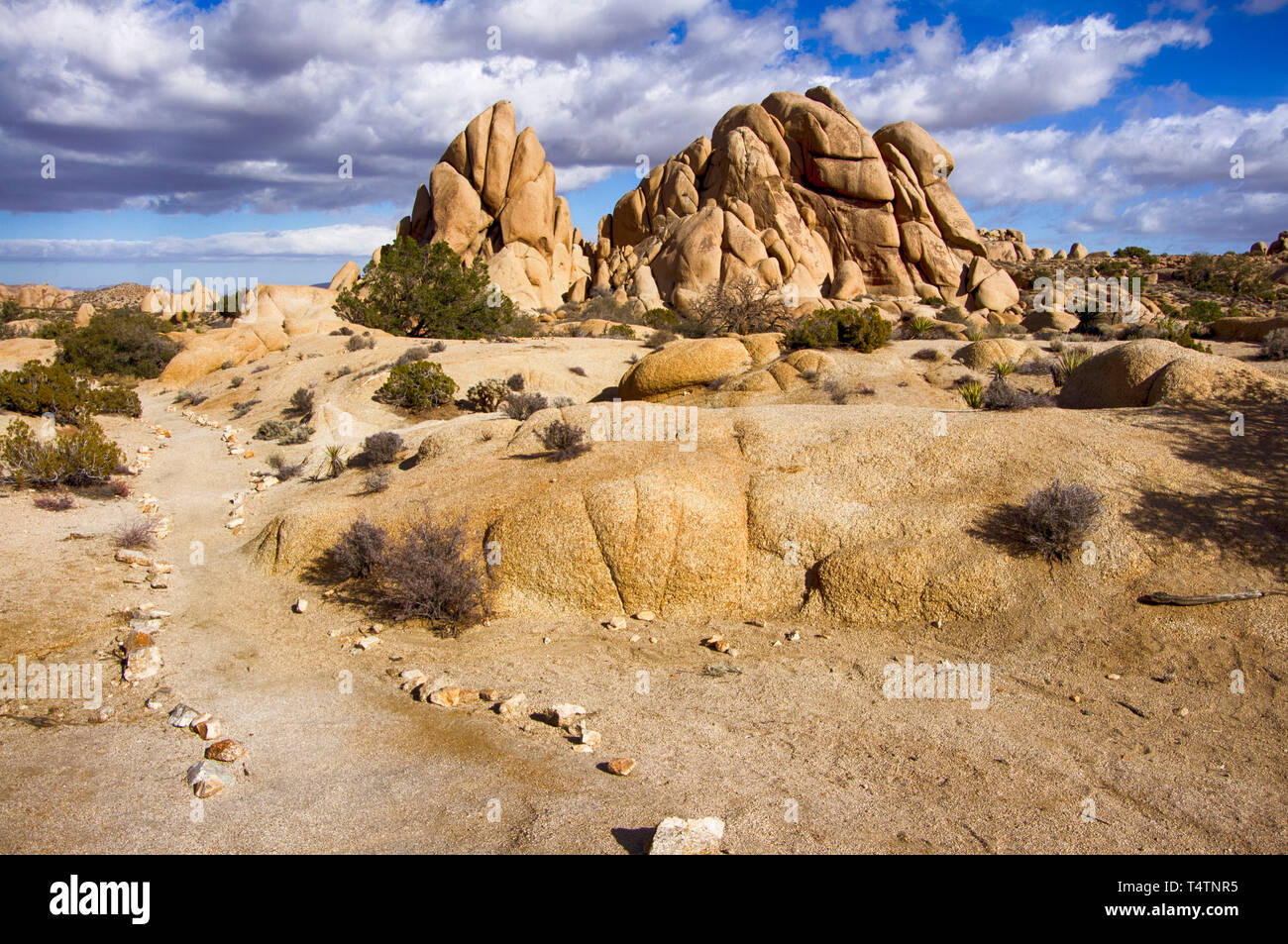 Joshua Tree Nationalpark, Kalifornien, USA Stockfoto