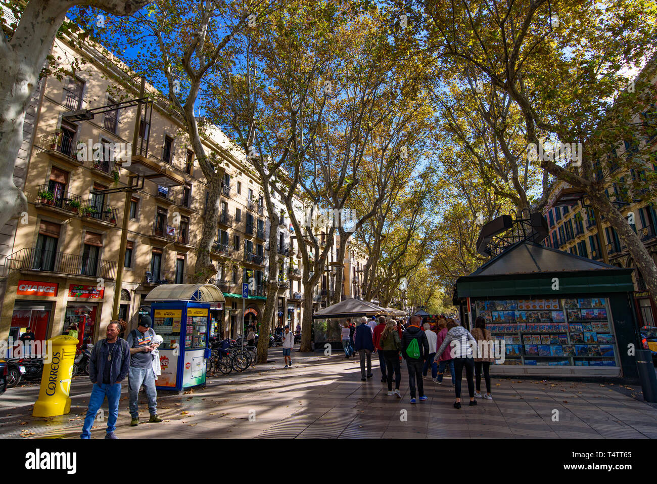La Rambla, die berühmteste Straße in Barcelona, Spanien Stockfoto