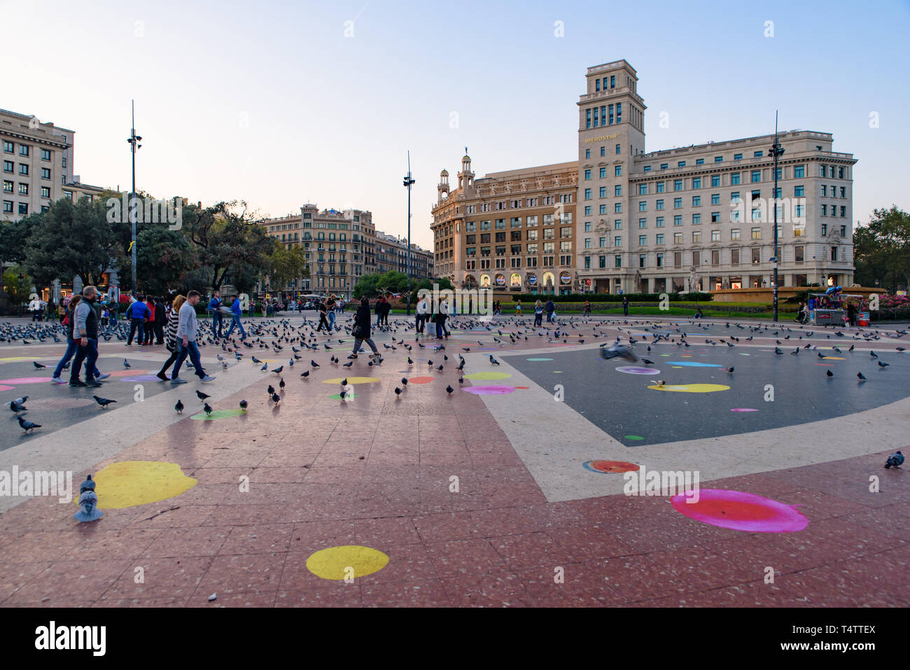Tauben auf Katalonienviertel entfernt (Plaça de Catalunya) im Zentrum von Barcelona, Spanien Stockfoto