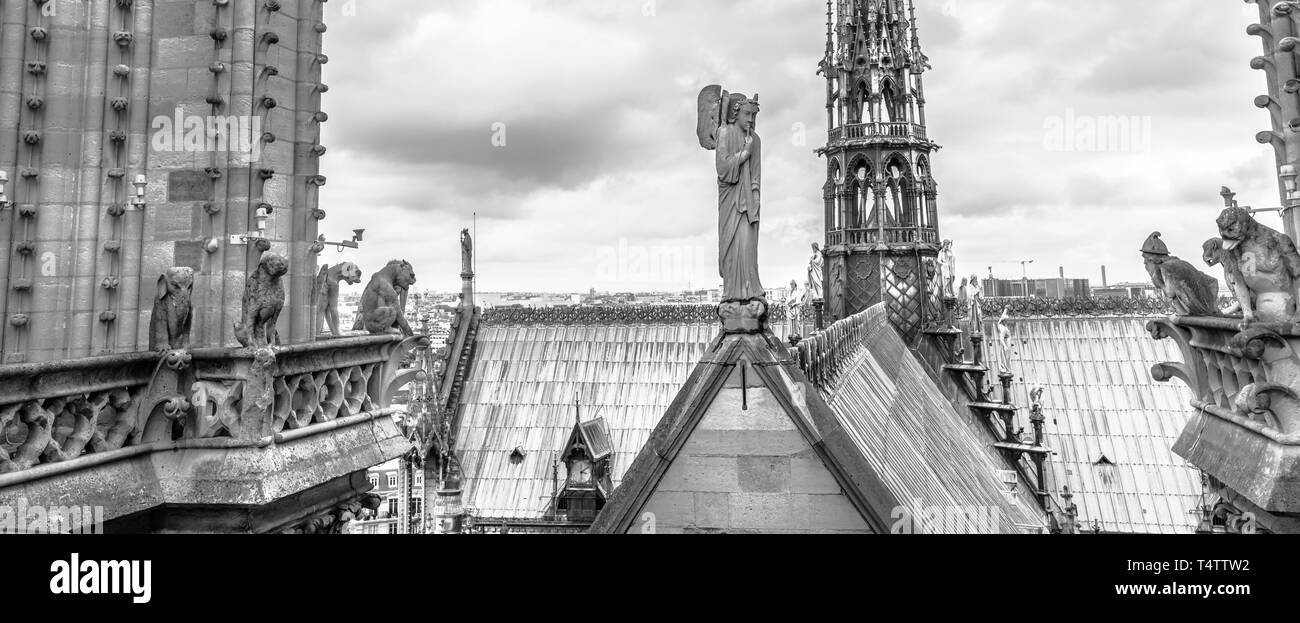 Schwarz-weißes Panorama der mythologischen Wasserspeier-Statuen auf der Kathedrale Notre Dame in der Pariser Skyline. Paris Stadt von Frankreich. Ansicht von oben Stockfoto