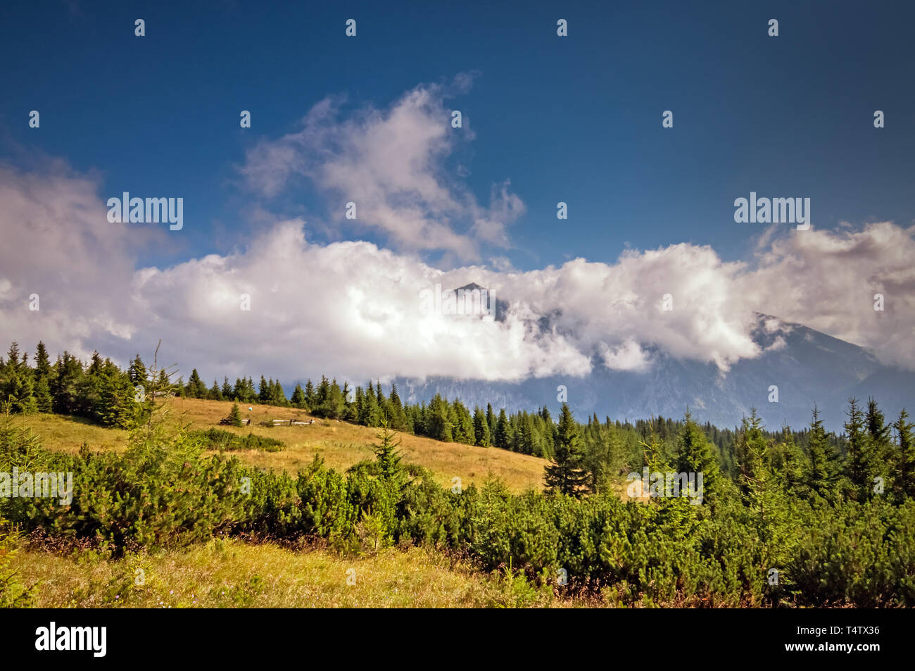 Die Rax in der Raxalpe Stockfoto
