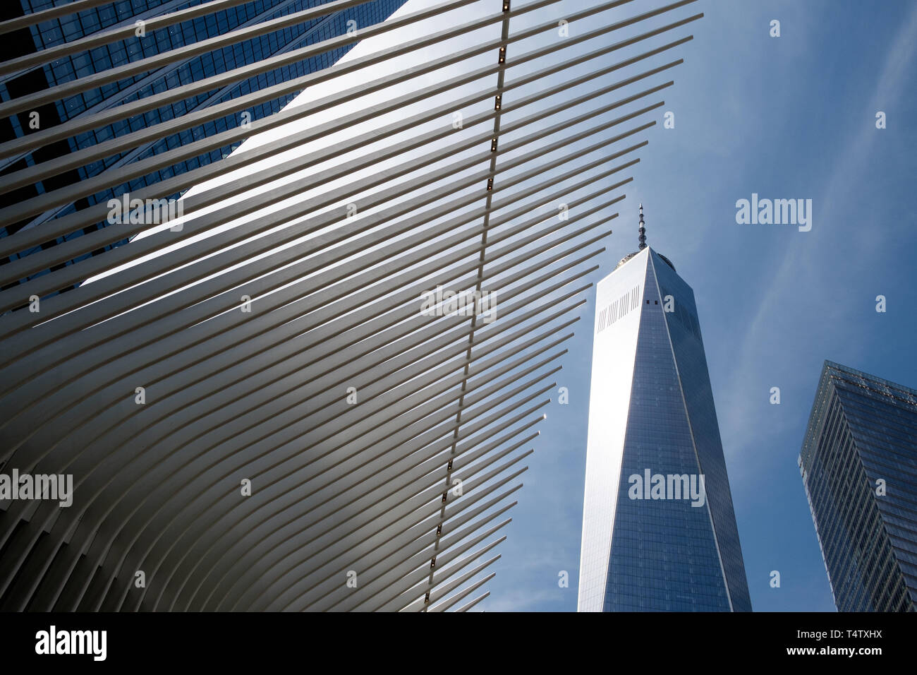 Detail der Oculus und Freedom Tower, eine Welt Handel, in Downtown Manhattan. Stockfoto