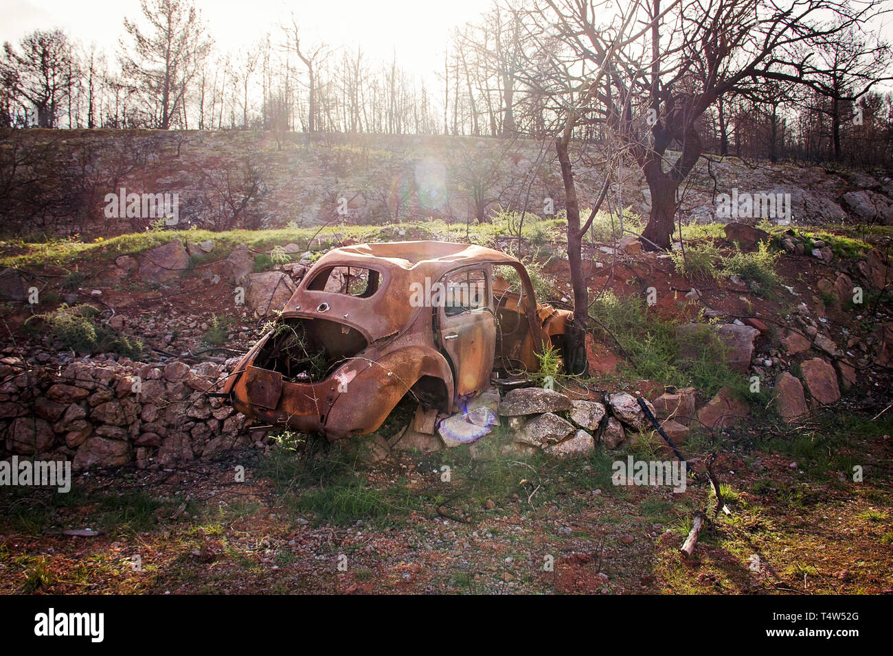 Verlassenes Auto in der französischen Landschaft Stockfoto