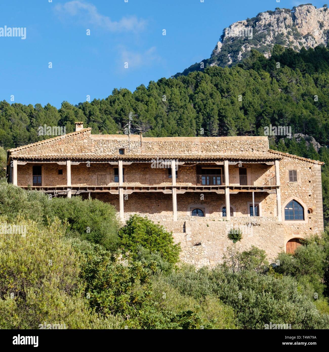 Sohn serralta Fotos und Bildmaterial in hoher Auflösung Alamy