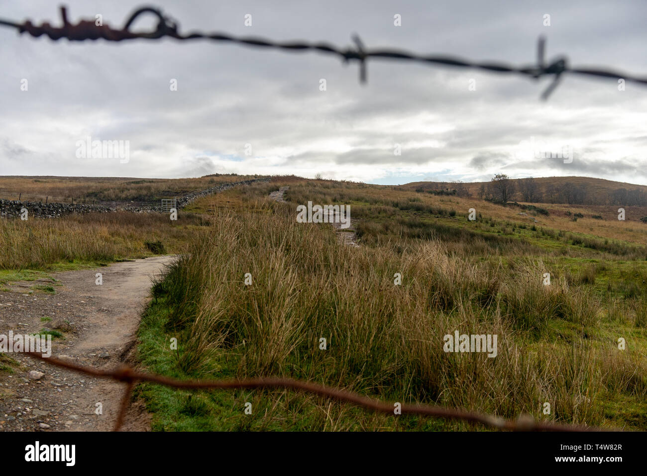 Stacheldraht Zaun Entlang West Highland Way Stockfotografie - Alamy