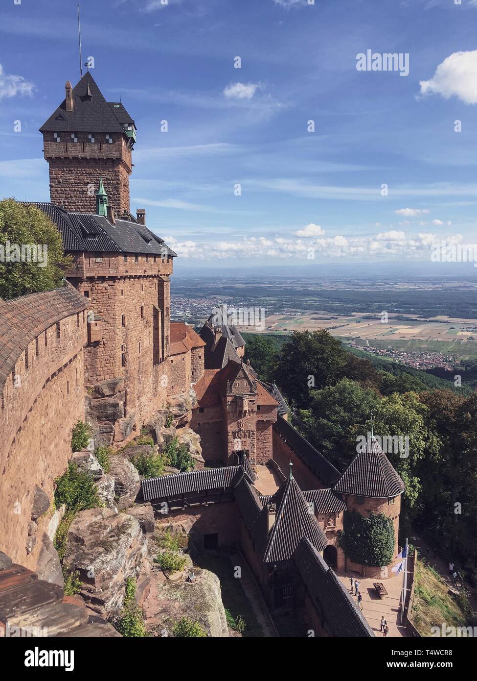 Landschaft Schoß von Kaysersberg mit mittelalterlichen Burg im Elsass, Haut-Rhin, Frankreich Stockfoto