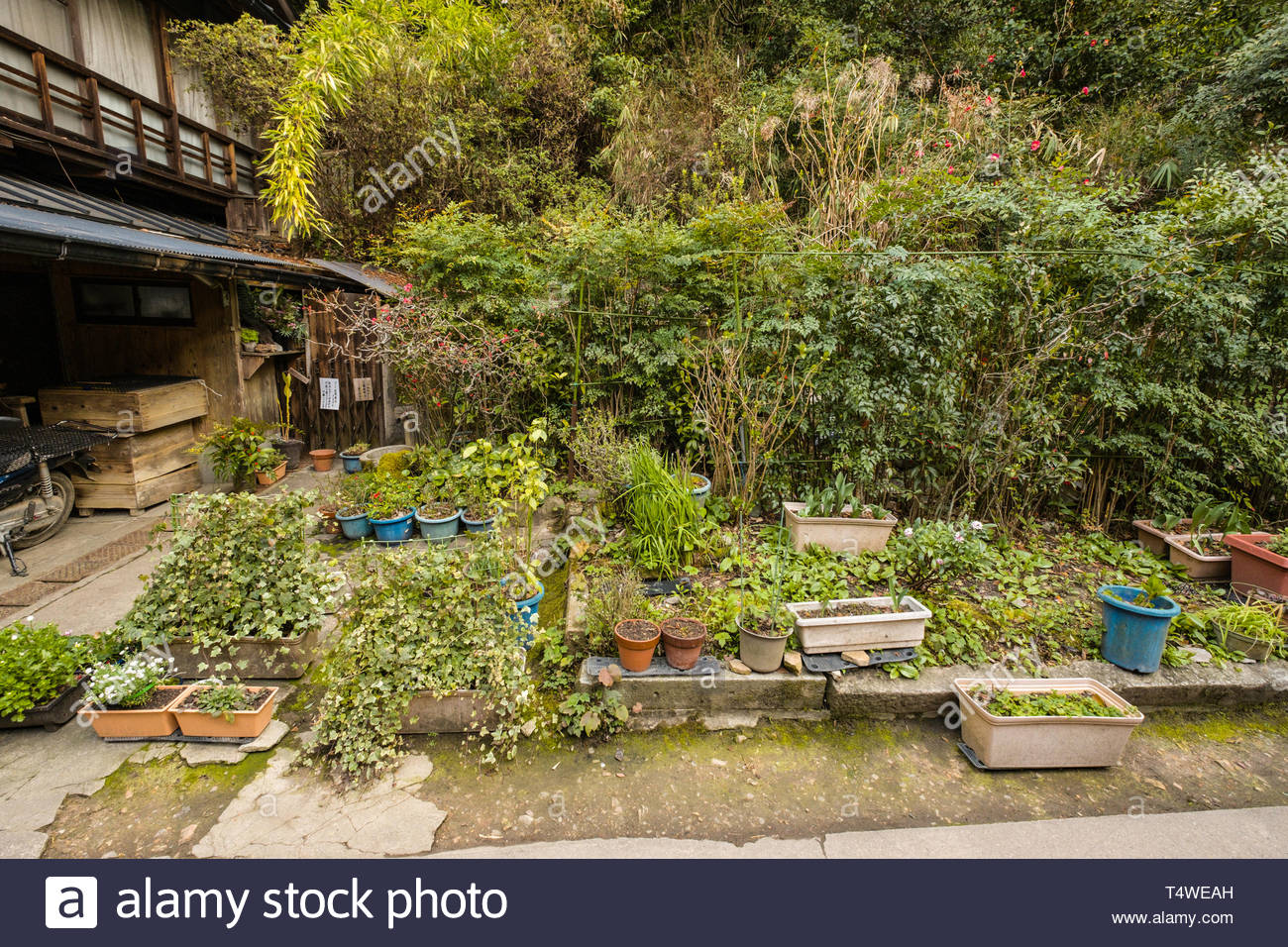 Kleine Kuche Garten Neben Dem Haus Fushimi Ward Kyoto Honshu