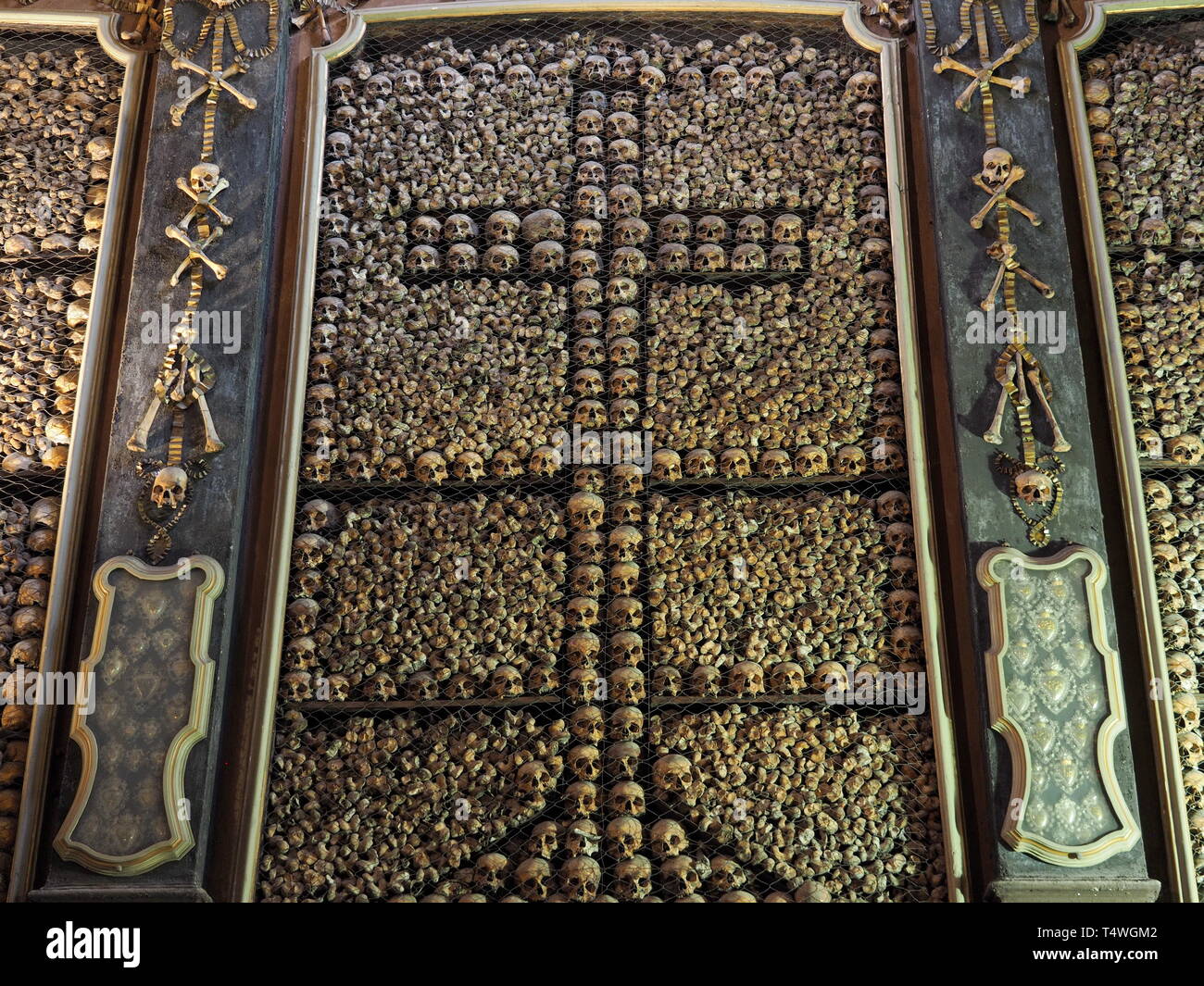 Schädel in Sanbernardino delle Ossa Kapelle, Mailand, Italien. Stockfoto