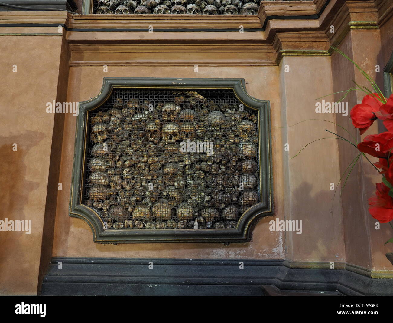 Schädel in Sanbernardino delle Ossa Kapelle, Mailand, Italien. Stockfoto