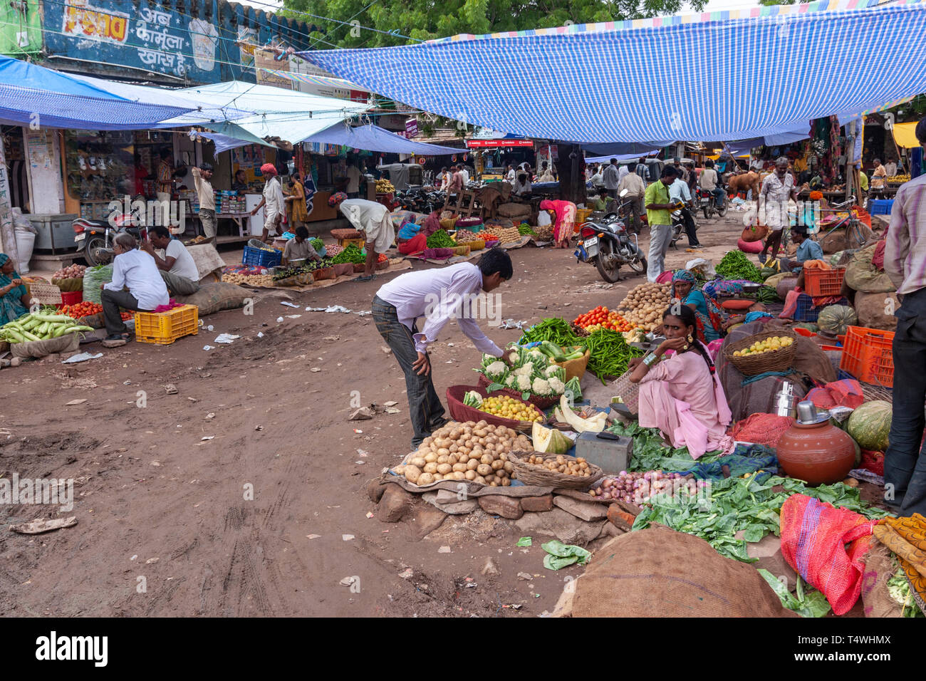 Sabzi Mandi, Gemüsemarkt, Horny Smokovec, Horny Smokovec, Rajasthan, Indien. Stockfoto