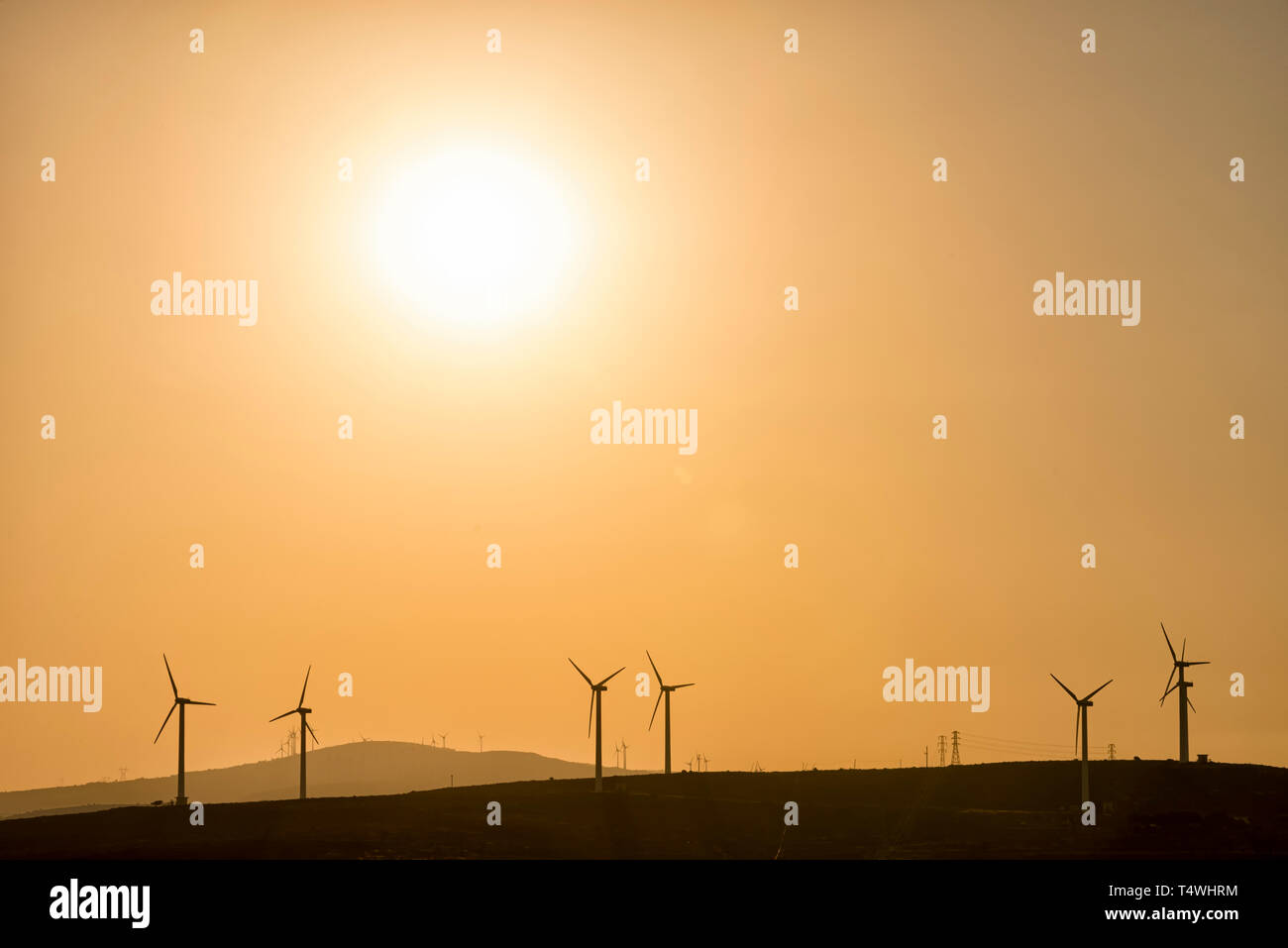 Windmill Farm bei Sonnenaufgang Stockfoto