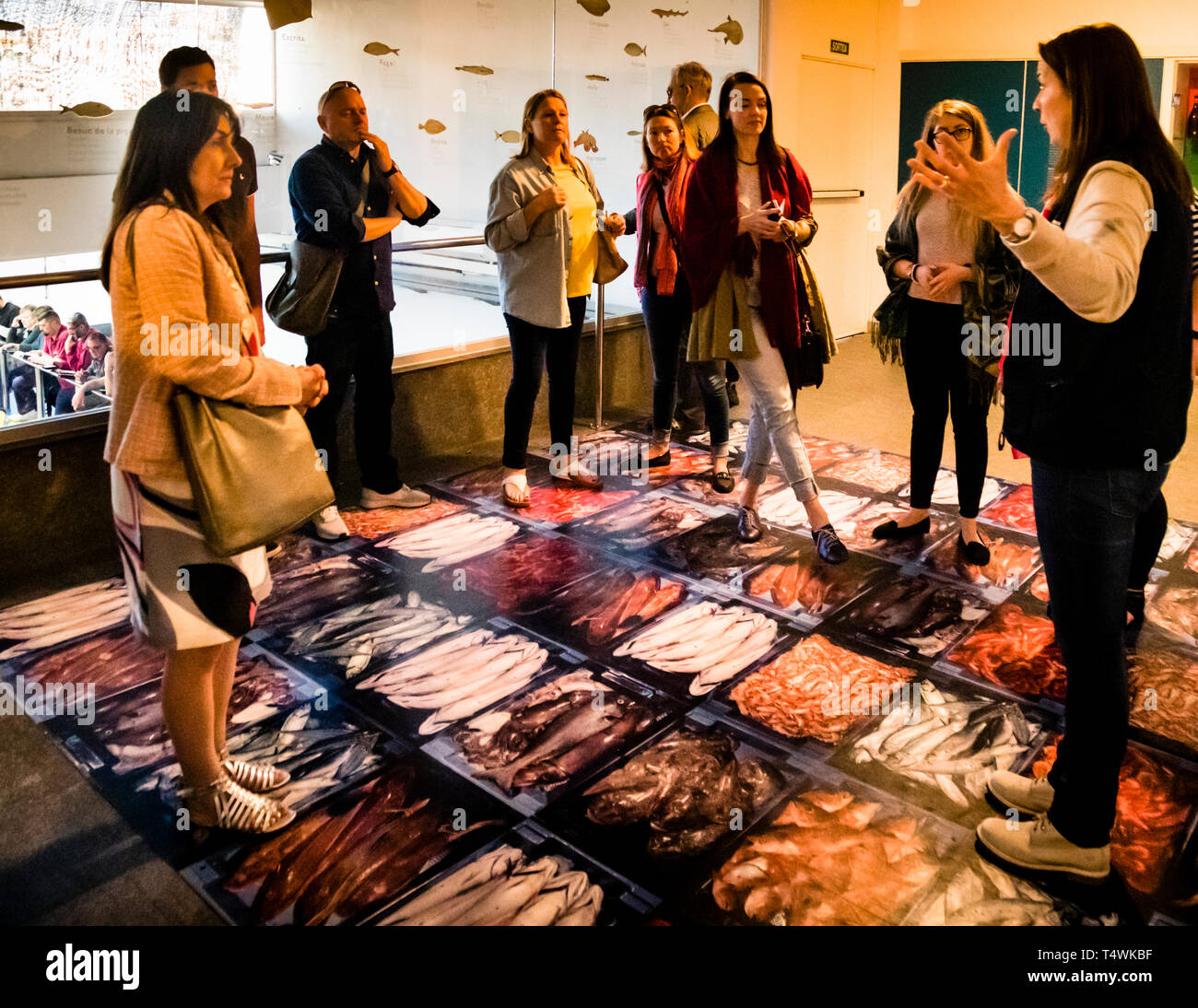 Katalanische Fischauktion in Palamós. Touristen haben die Möglichkeit, die Fischauktion im Rahmen einer geführten Tour zu besuchen. Museumsangestellte Maria Angels erklärt das Auktionsverfahren und informiert über Fischarten. Die Auktion ist dann nur noch von hinten und von oben zu sehen. Palamos, Katalonien, Spanien Stockfoto