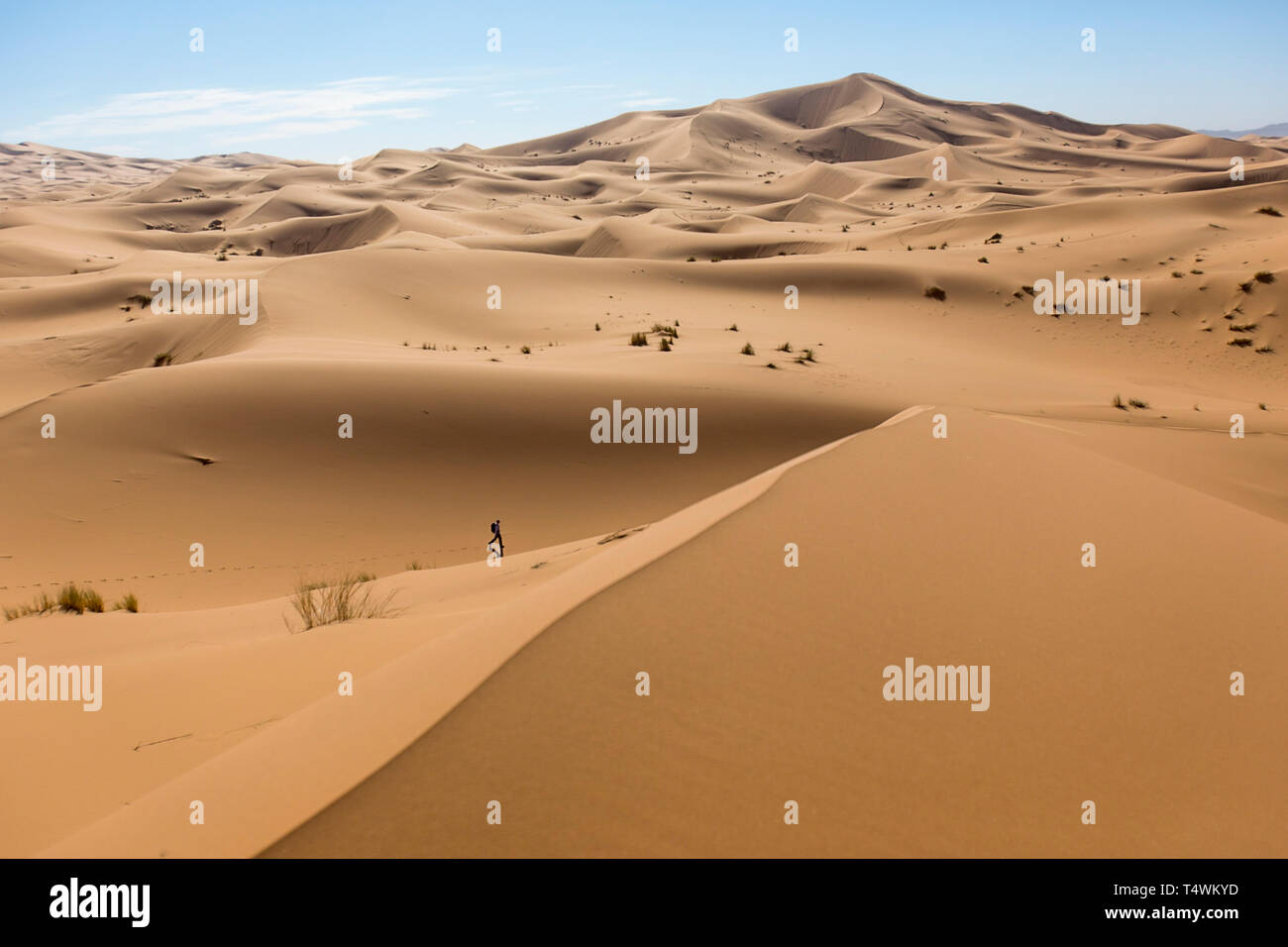 Felskunst sahara Fotos und Bildmaterial in hoher Auflösung Alamy