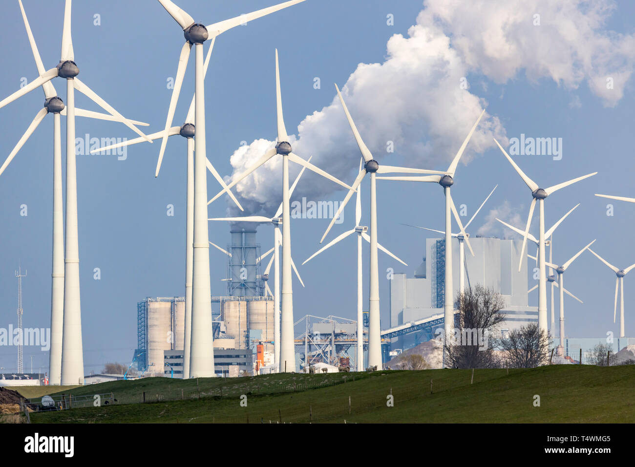 Eemshaven Energie Park, verschiedene Kraftwerke und der Westereems und Growind Windparks, insgesamt über 80 Windenergieanlagen, RWE-kohlekraftwerks Eemshaven Powe Stockfoto