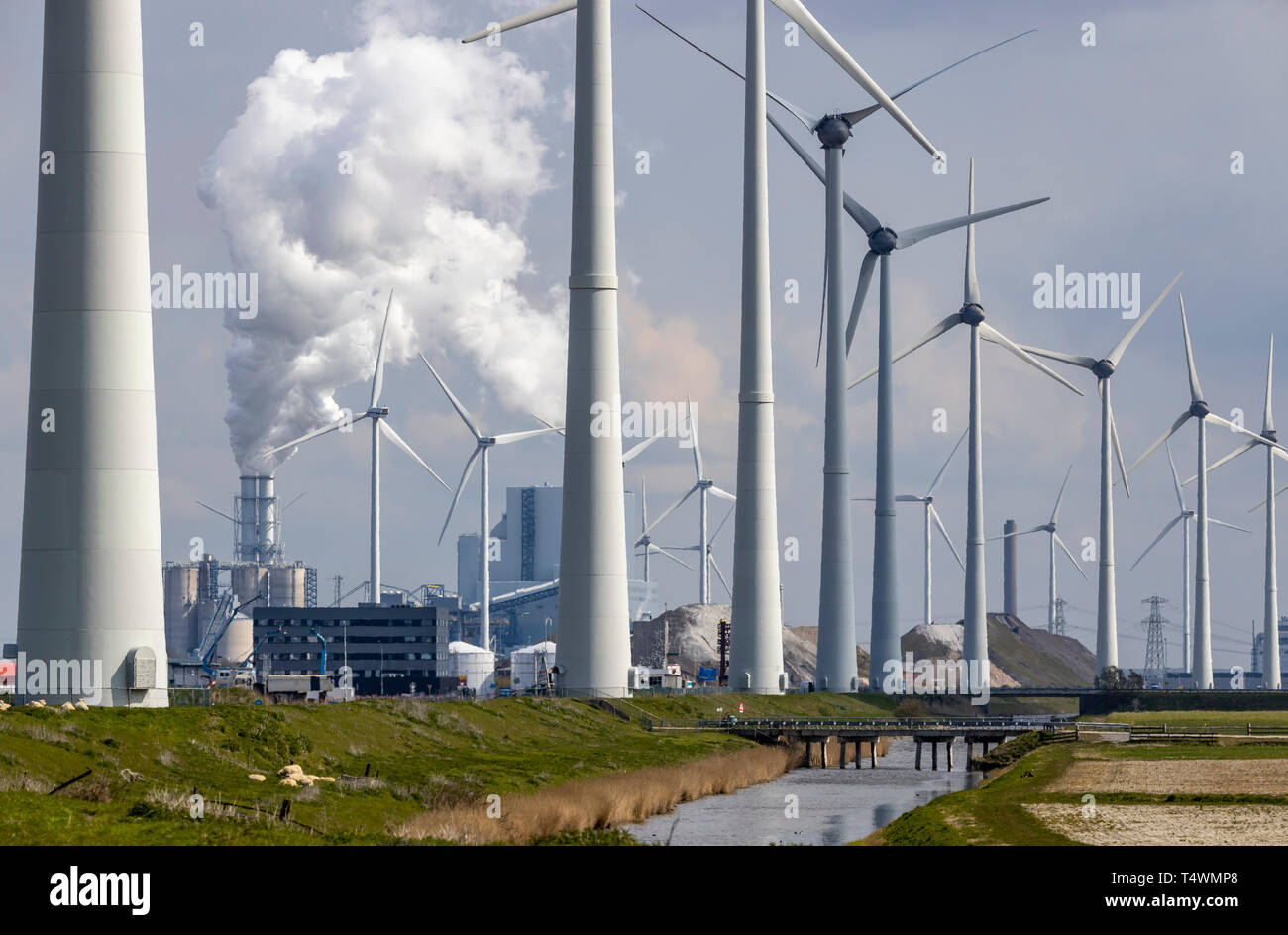 Eemshaven Energie Park, verschiedene Kraftwerke und der Westereems und Growind Windparks, insgesamt über 80 Windenergieanlagen, RWE-kohlekraftwerks Eemshaven Powe Stockfoto