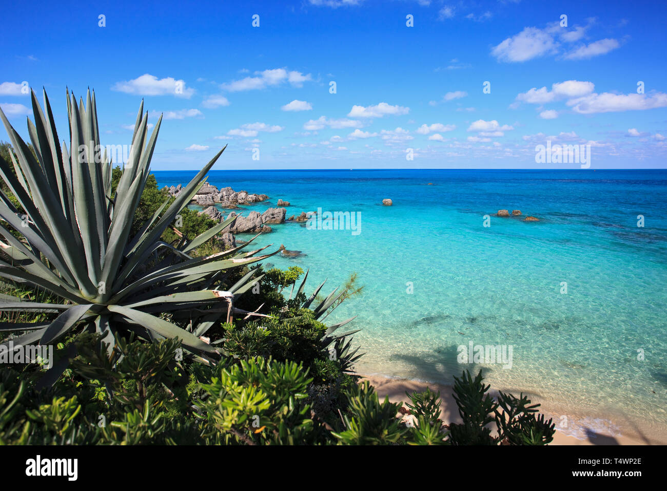 Bermuda, Fort St. Catherine Stockfoto