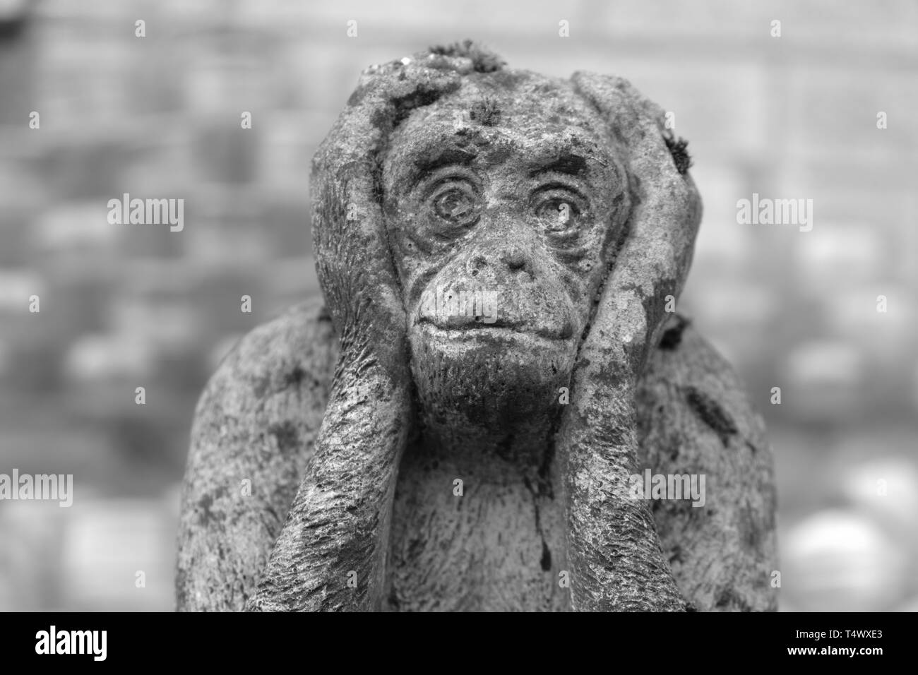 Garten monkey Ornament: Nichts Böses hören Stockfoto