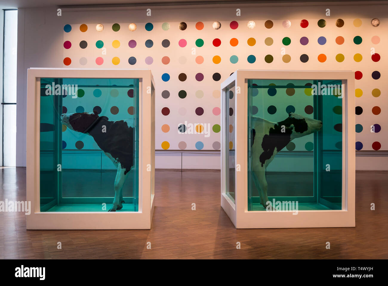Das Arken Museum für Moderne Kunst, 'Love's Paradox" Kunstwerke des pot Malerei'' 2-Amino-5-Bromobenzotrifluoride', von Damian Hirst, Kopenhagen, Dänemark Stockfoto