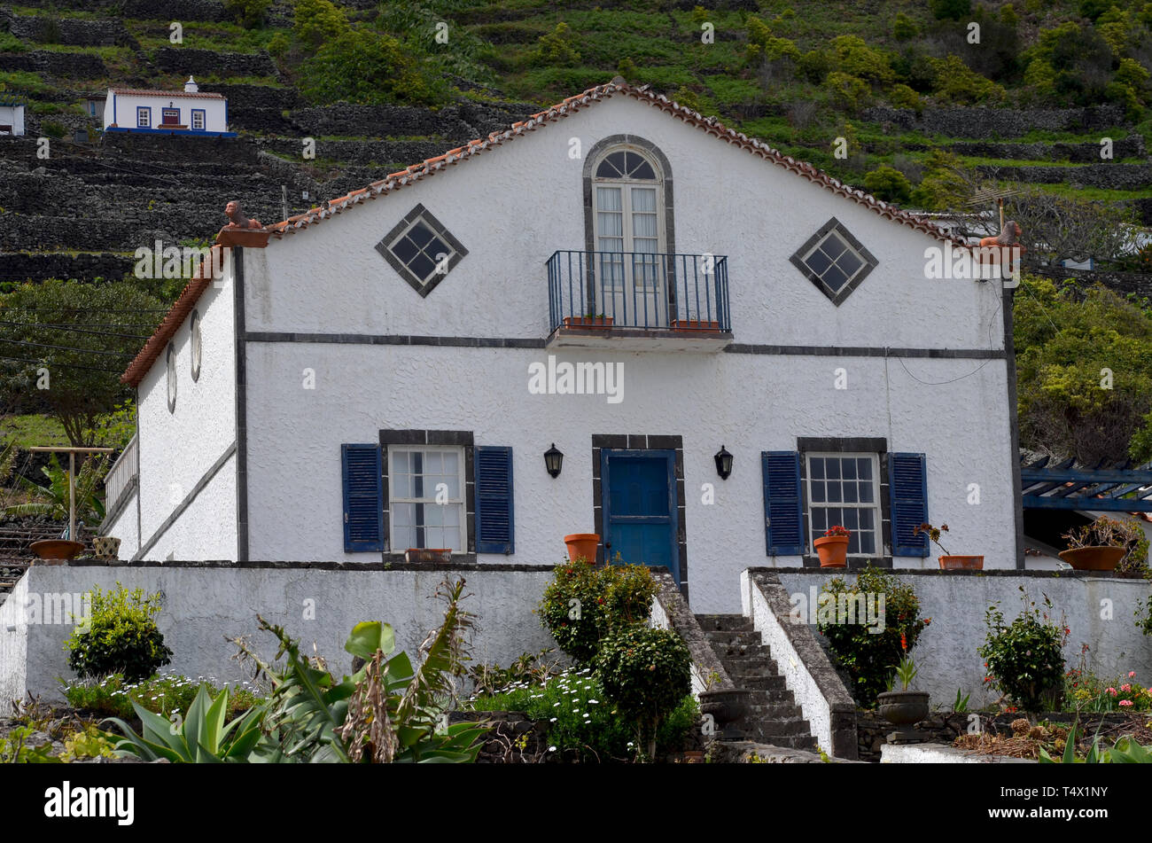 Die traditionellen Weinberge an den Hängen des Sao Lourenço Bay, in der östlichen Küste von Santa Maria Island, Azoren Stockfoto