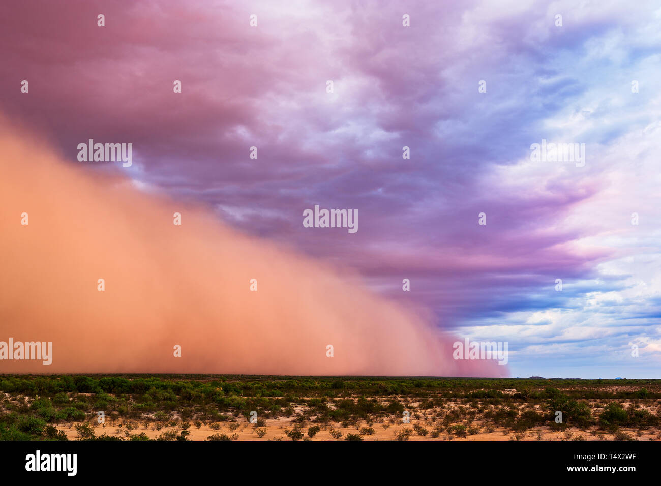 Ein Haboob-Staubsturm bei Sonnenuntergang in der Nähe von Gila Bend, Arizona, USA Stockfoto