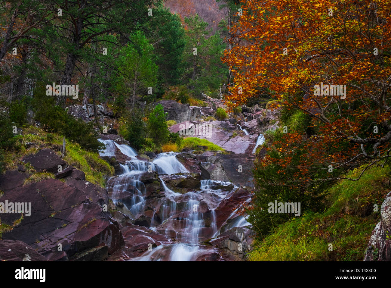 Nationalpark von Ordesa und Monte Perdido. Pyrenäen von Aragon. Spanien Stockfoto