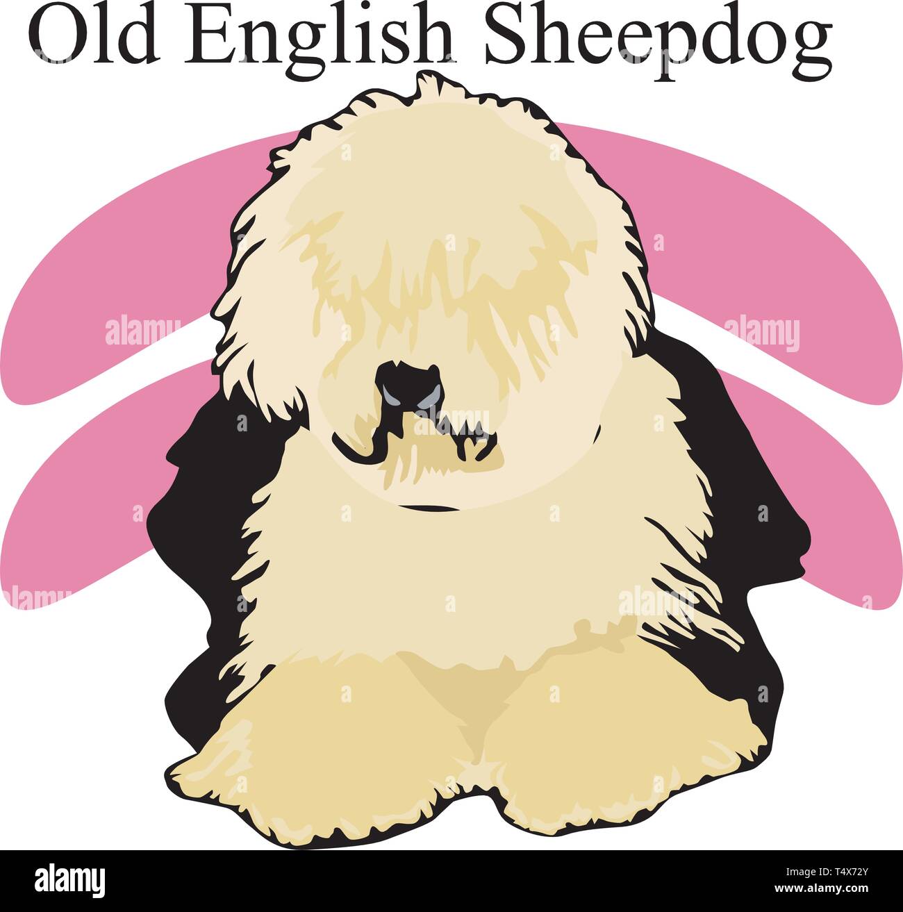 Old English Sheepdog Vector Illustration Stock Vektor