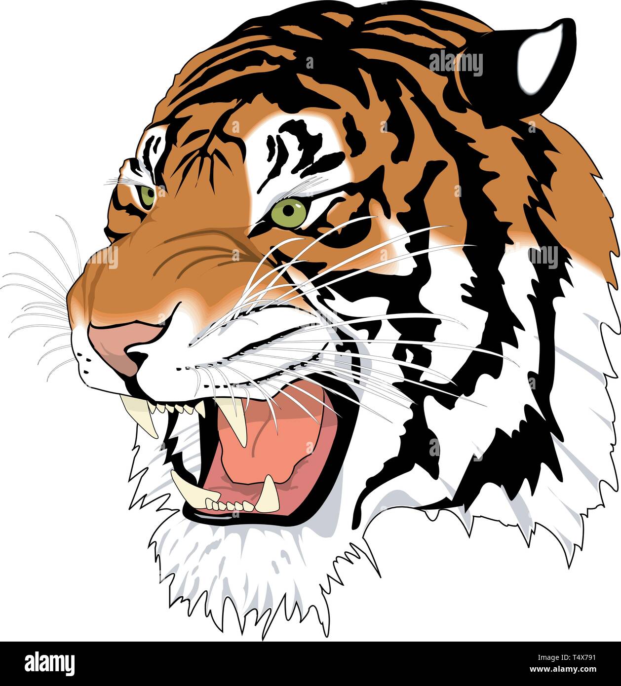 Tiger head vector -Fotos und -Bildmaterial in hoher Auflösung – Alamy