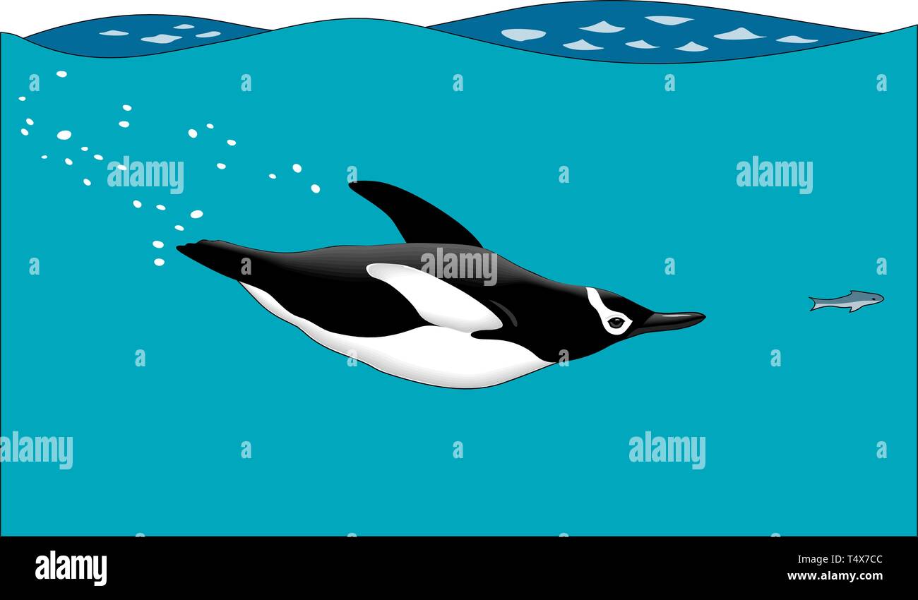 Pinguin Schwimmen Vector Illustration Stock Vektor