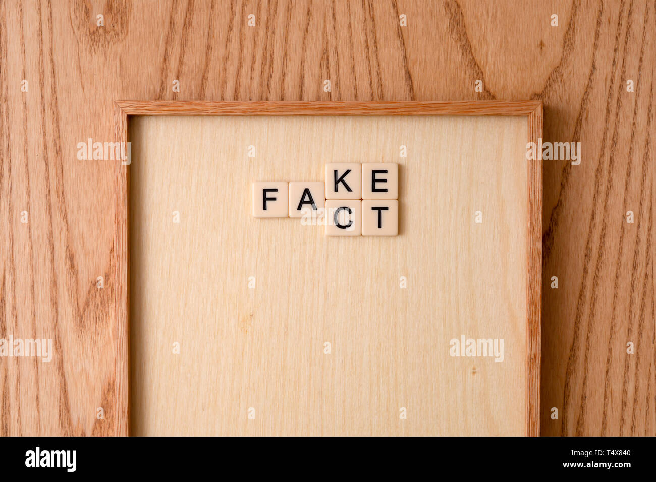 FAKE, TATSACHE Wortblock auf Holz Hintergrund. Stockfoto